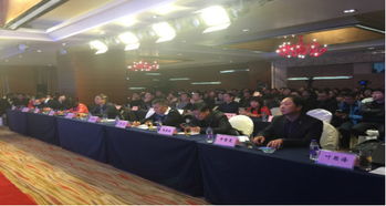 河南省軟件服務業協會最新動態 引領網絡技術服務創新與發展